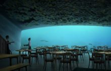 الجنون فنون.. افتتاح أول مطعم على شكل حوت تحت سطح الماء