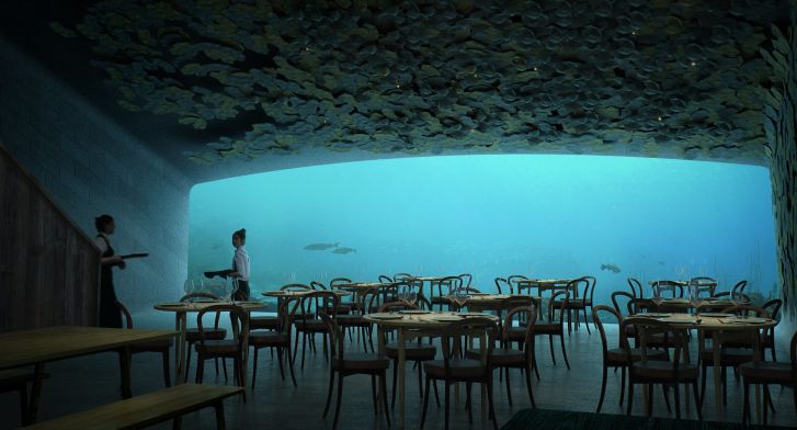 الجنون فنون.. افتتاح أول مطعم على شكل حوت تحت سطح الماء