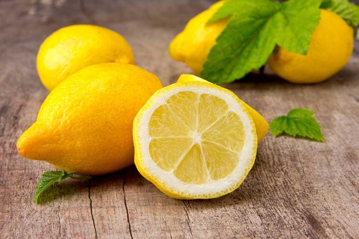 انخفاض اسعار الليمون جراء استيراد أكثر من 1500 طن