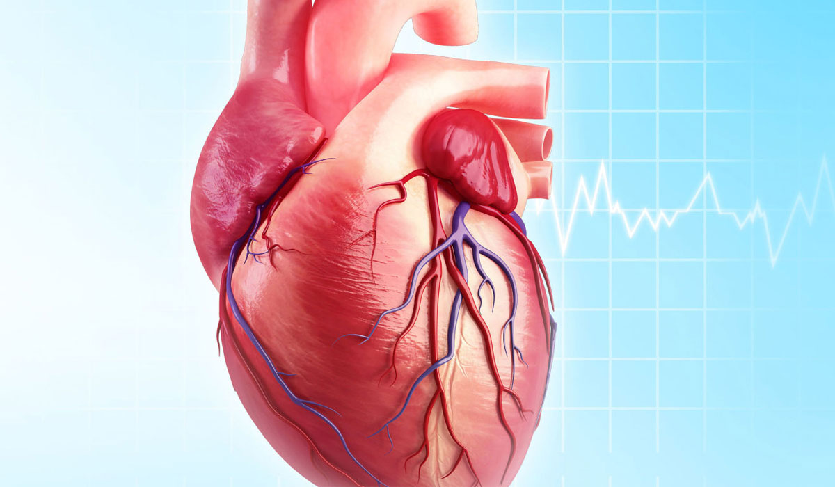 انتباه ..هناك 6 أعراض تؤشر على وجود أمراض في القلب