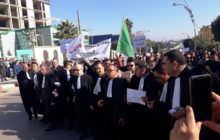 القضاة الجزائريون يرفضون الإشراف على الانتخابات إذا شارك بوتفليقة/ فيديو