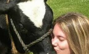 النمسا تحذر مواطنيها من تقبيل البقر لانه ينقل البكتيريا الضارة