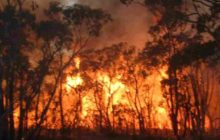اخماد حريق 300 دونم من الاعشاب الجافة والاشجار الحرجيةبمحافظة عجلون