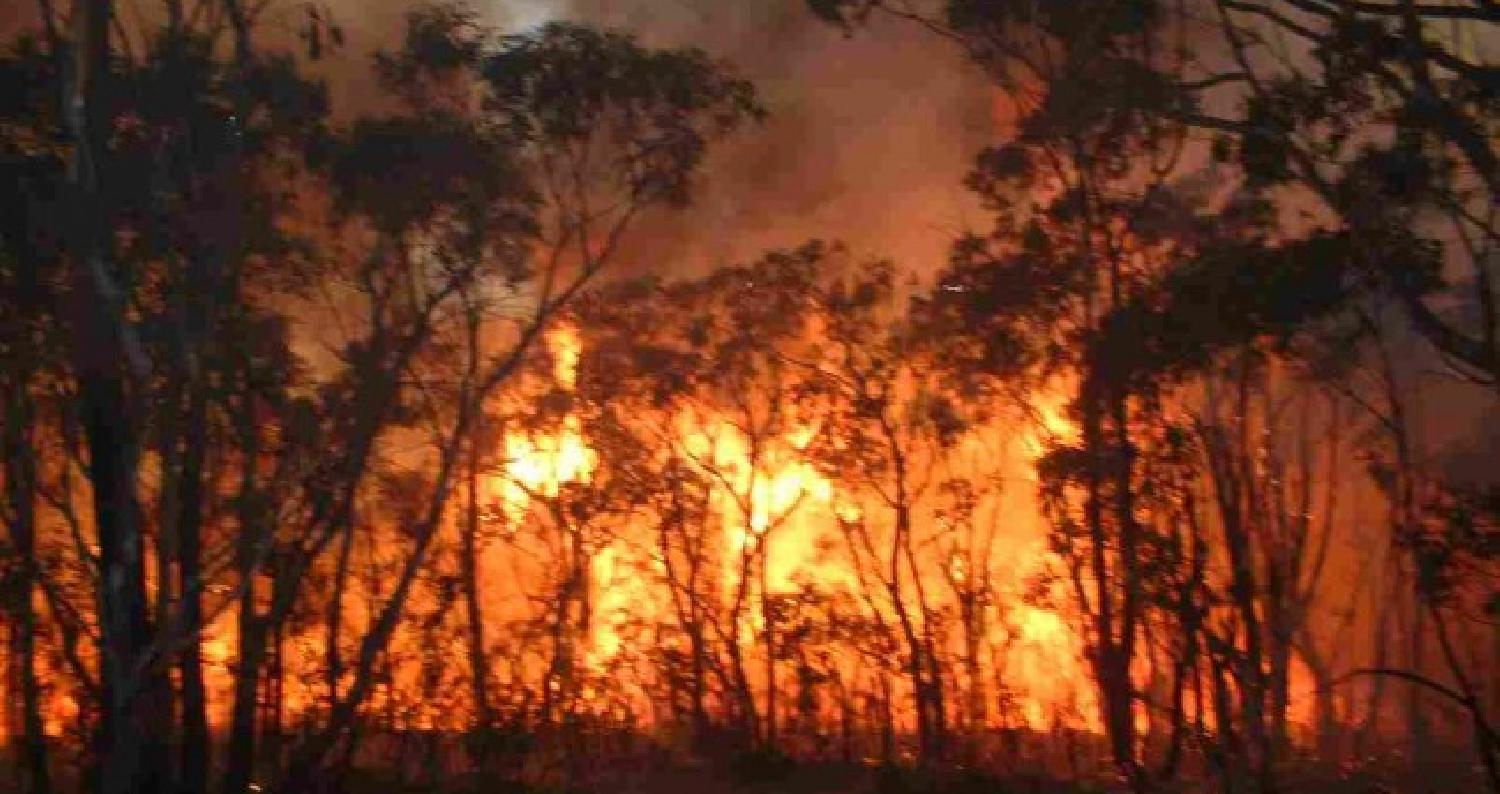 اخماد حريق 300 دونم من الاعشاب الجافة والاشجار الحرجيةبمحافظة عجلون