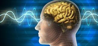 علماء النفس ينجحون في استعادة الذاكرة البشرية بواسطة الصدمات الكهربائية