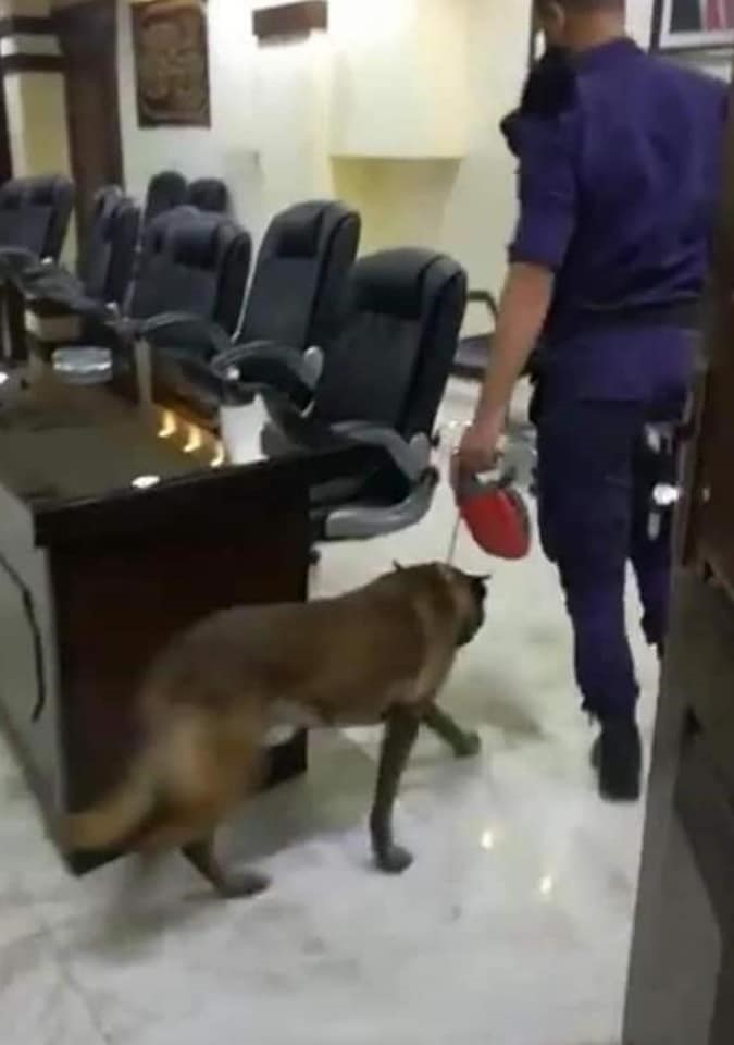 الأمن يعترف ان استخدام الكلاب البوليسية في بلدية اربد اجتهاد شخصي خاطئ