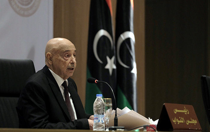القبائل الليبية تعلن أنها ستحارب قوات الاحتلال التركي ورئيس البرلمان الليبي يدعو للاستعانة بالعرب حال دخول هذه القوات