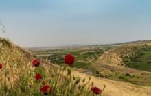 أجواء معتدلة في معظم المناطق وحارة نسبيا في الأغوار