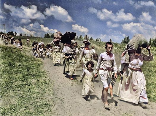 حين تتولى الكاميرا تصوير التاريخ.. نشر أول صور ملونة لتشريد الشعب الفلسطيني ايام النكبة قبل 72 عاما