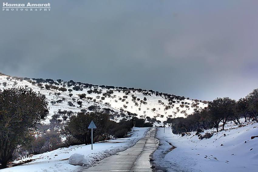 اقتراب الجبهة الهوائية الباردة من الأردن، وتساقط الثلوج فوق الجبال العالية