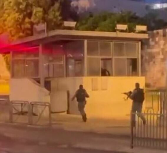 العدو يجرح فلسطينيا في باب العامود بالقدس بحجة طعن شرطي/ فيديو
