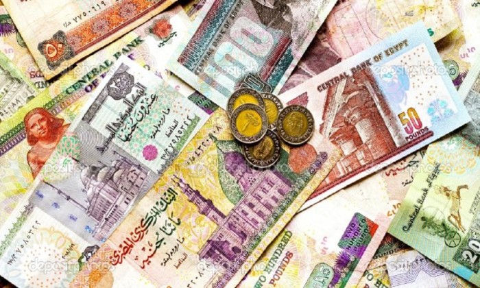 فايننشال تايمز: تدهور الأوضاع الاقتصادية المصرية يؤذي مختلف الطبقات، بعد قيام البنك المركزي بتعويم الجنيه